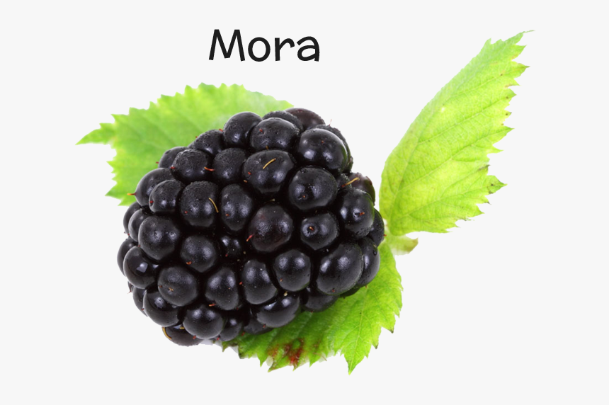 Thumb Image - Blackberry Fruit, HD Png Download