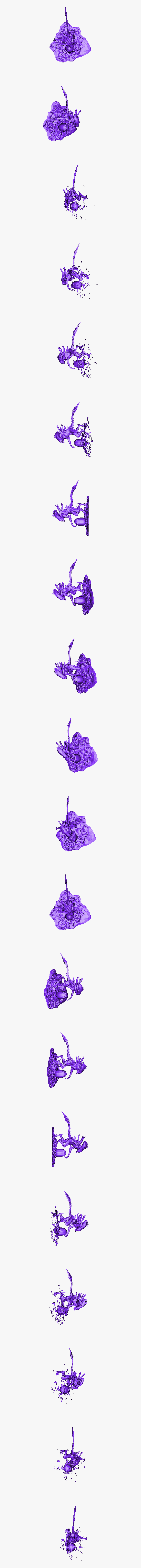 Rose, HD Png Download