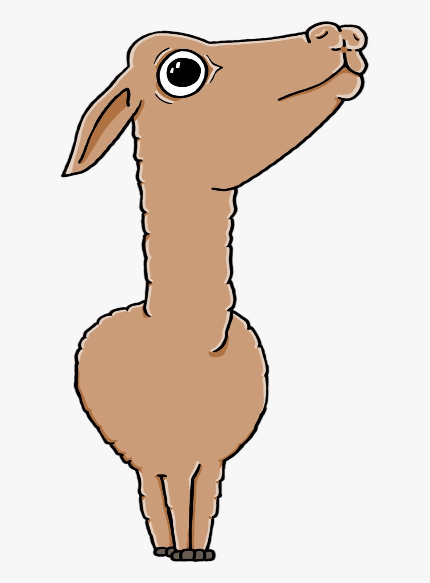 Llama - Cartoon, HD Png Download