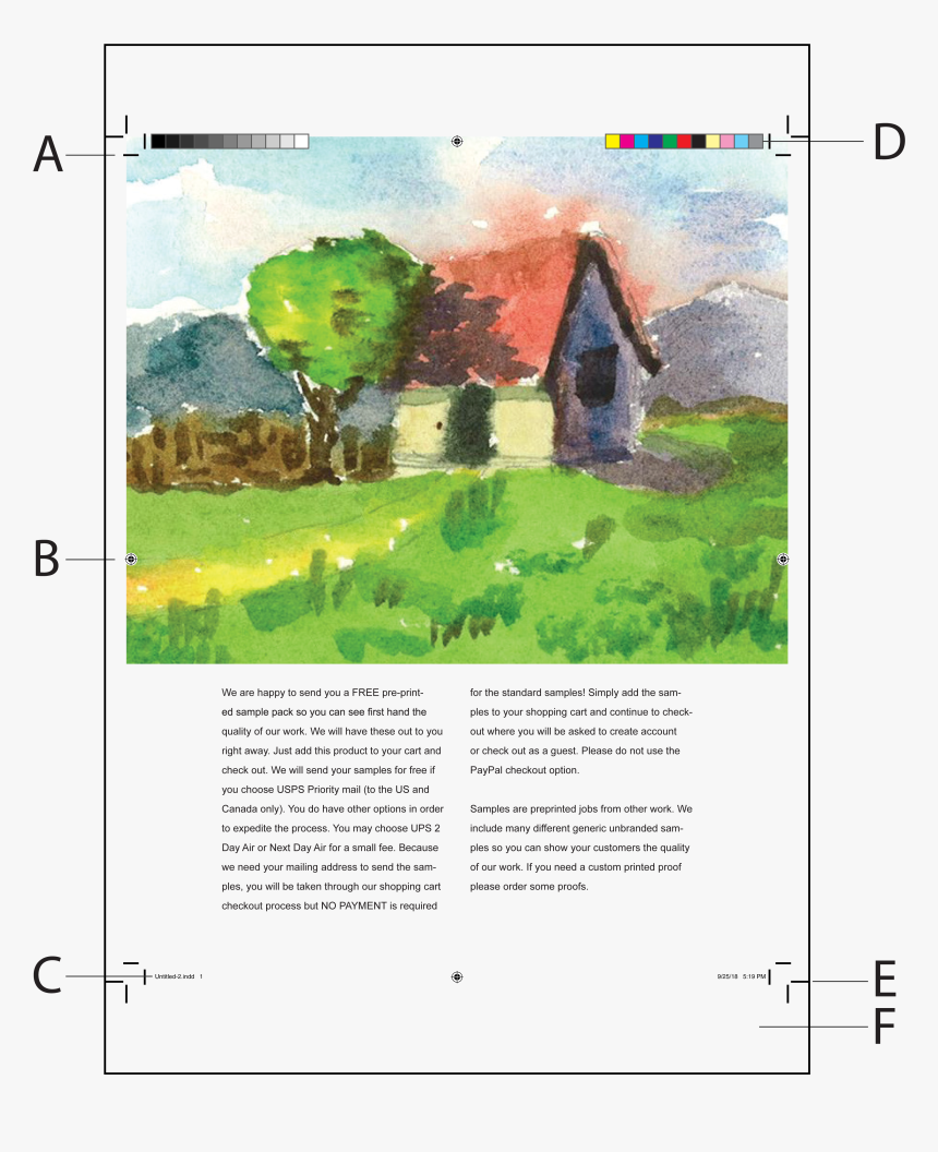 Grass, HD Png Download