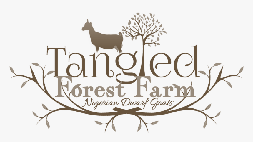 Luz De Luna, HD Png Download