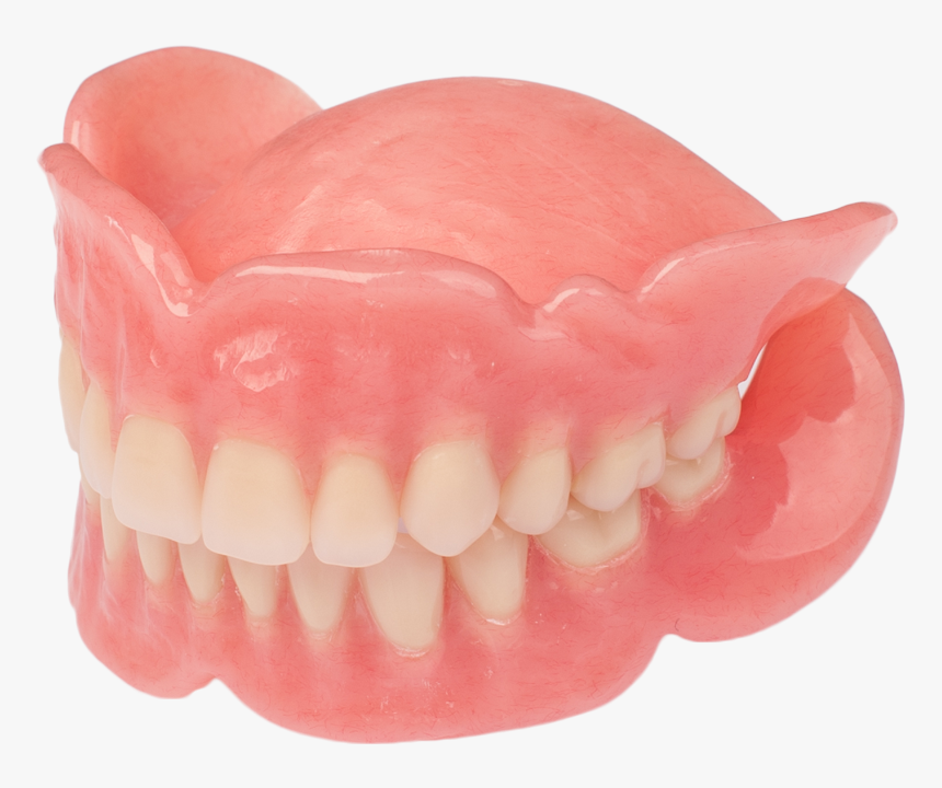 Fang, HD Png Download