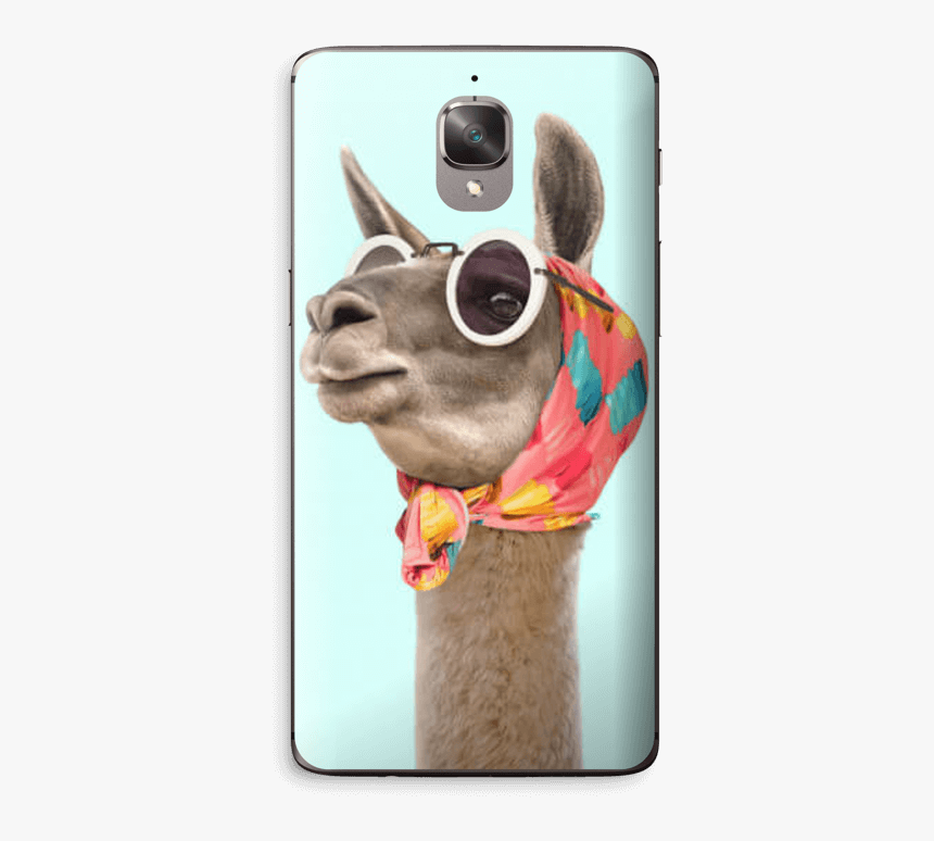 Fashion Llama Skin Oneplus 3t - نكت عن البنات يوم العيد, HD Png Download