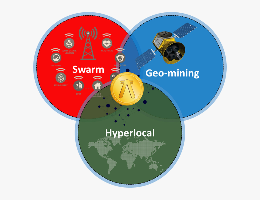 Walrus, HD Png Download