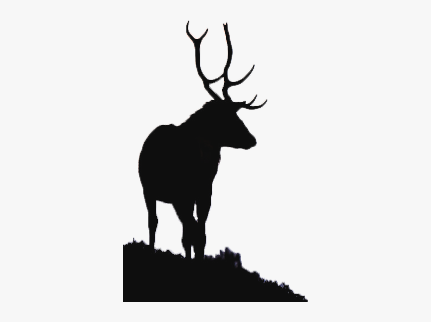 River Glass, Strathglass Beauly Firth Red Deer Elk - Aesthetic Moose, HD Png Download