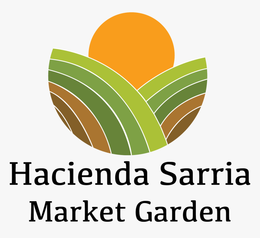 Graphic Design, HD Png Download