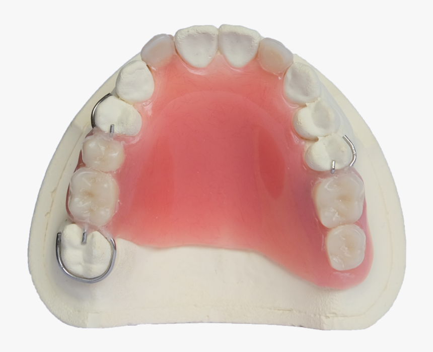 Jaw, HD Png Download