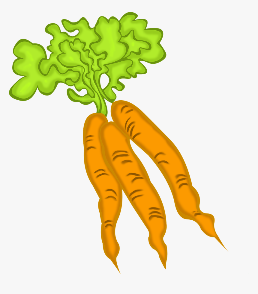 Carrot, HD Png Download