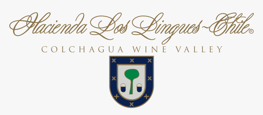 Hotel Hacienda Los Lingues - Hairroin Salon, HD Png Download