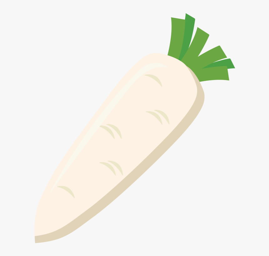 Plant,vegetarian Food,food - Daikon, HD Png Download