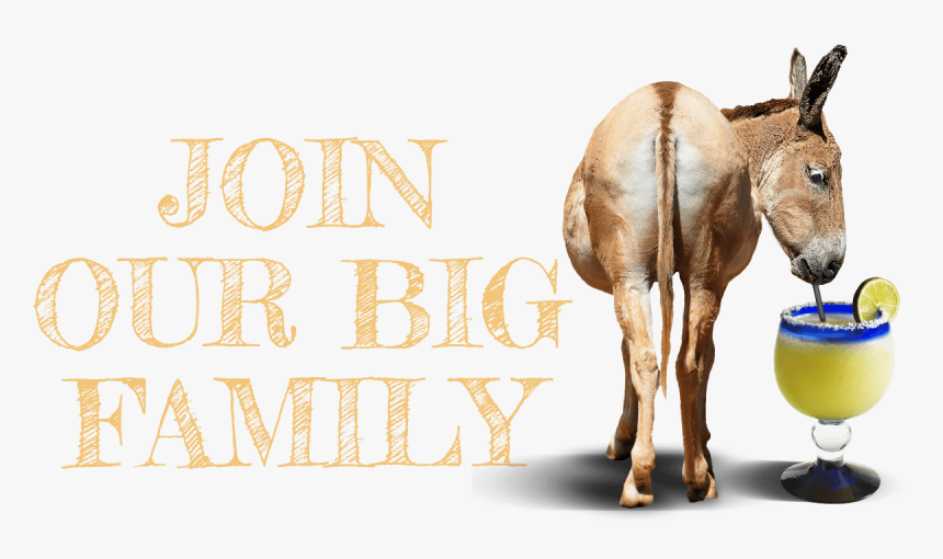 Join Our Big Ass Family - Sorrel, HD Png Download