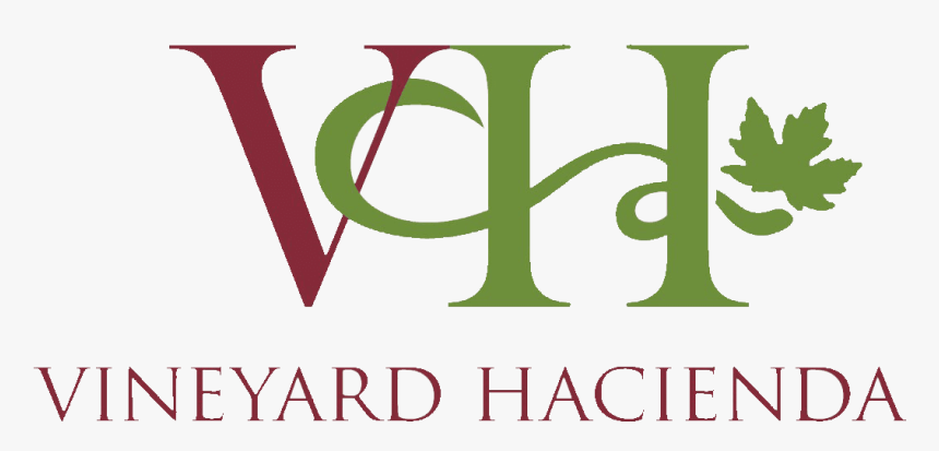 Logo - Calligraphy, HD Png Download