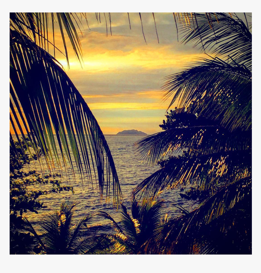 Girls Banana Farm Yauco Rincon Puerto Rico Bananas - Sunset, HD Png Download