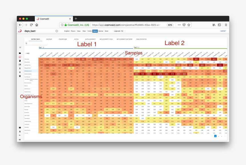 Screenshot, HD Png Download