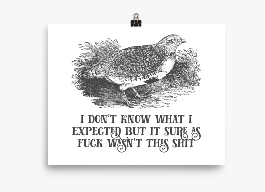 I Don T Know What I Expected But It Sure As Fuck Wasn - Ruffed Grouse, HD Png Download