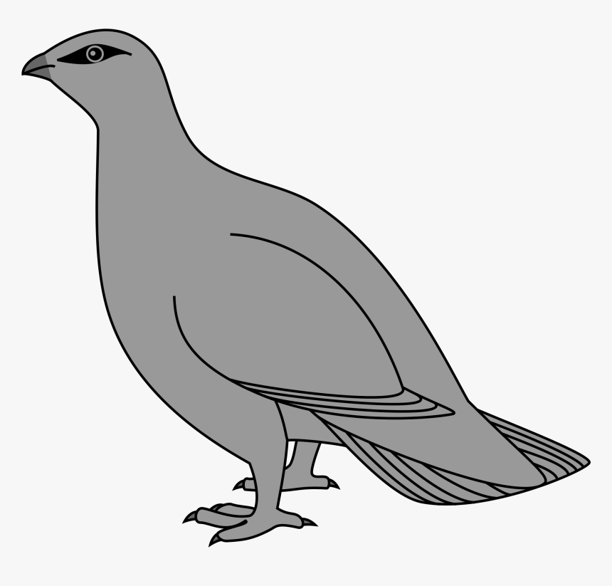Wikimedia Commons Heraldry Birds , Png Download - Pigeons And Doves, Transparent Png