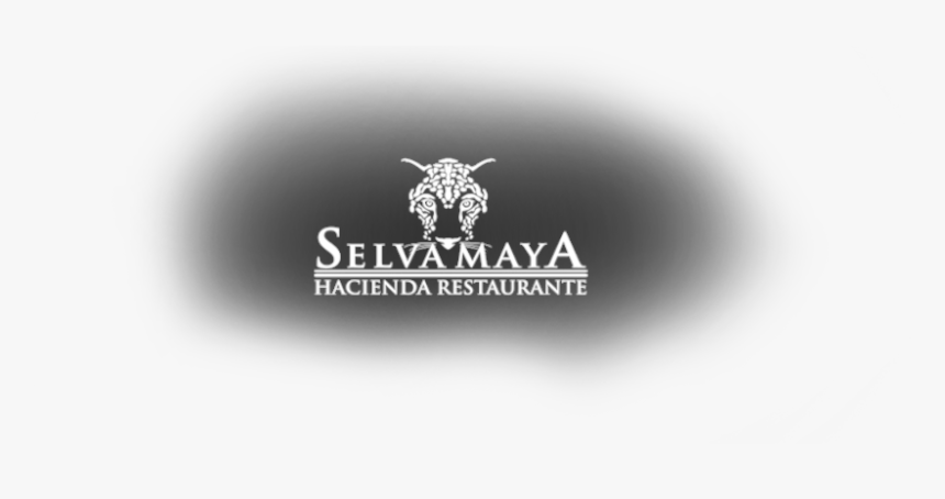 Hotel El Mesón Del Marqués - Graphic Design, HD Png Download