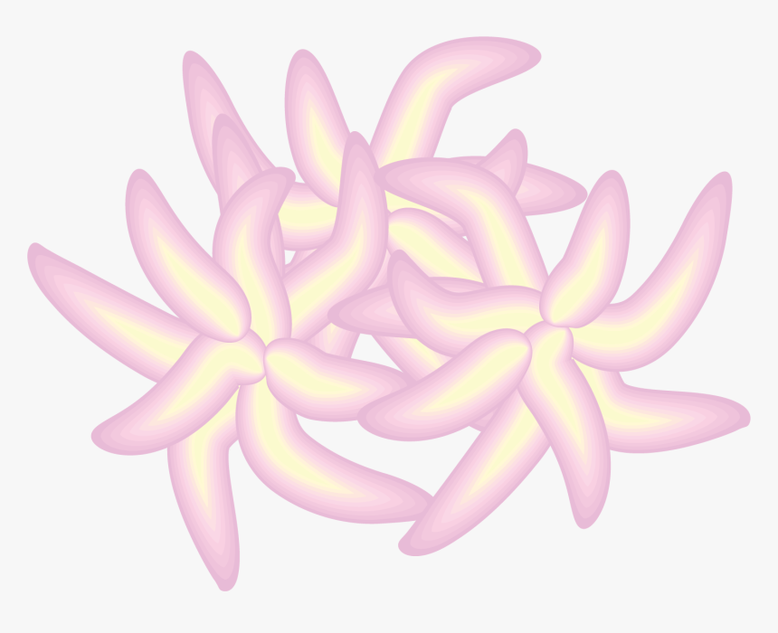 Illustration Of Platelets - Flower, HD Png Download