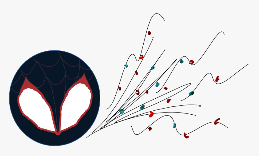 Neutrophil Net Rmk - Neutrophil Spiderman, HD Png Download