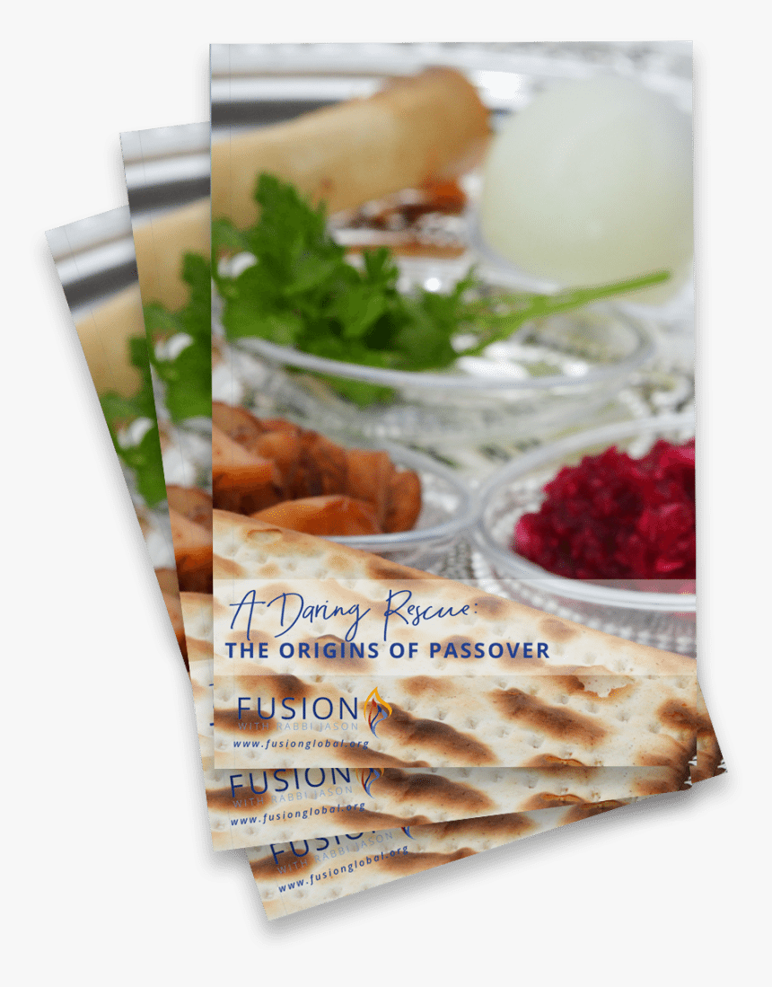 Passover Png, Transparent Png