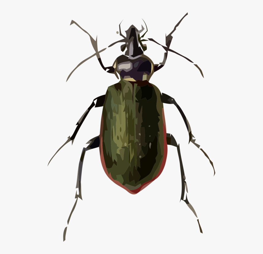 Rhinoceros - Beetle Drawing, HD Png Download