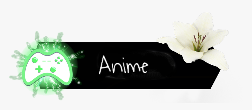 Lily, HD Png Download