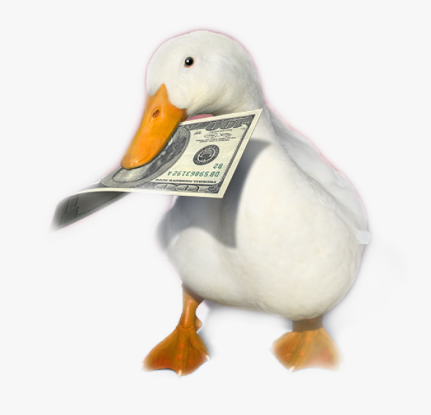 #aflac - You Ve Heard Of Elf On The Shelf Now Get Ready For, HD Png Download