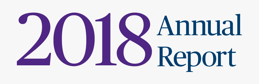 2017 Annual Report - Graphic Design, HD Png Download