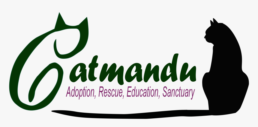 Graphic Design, HD Png Download