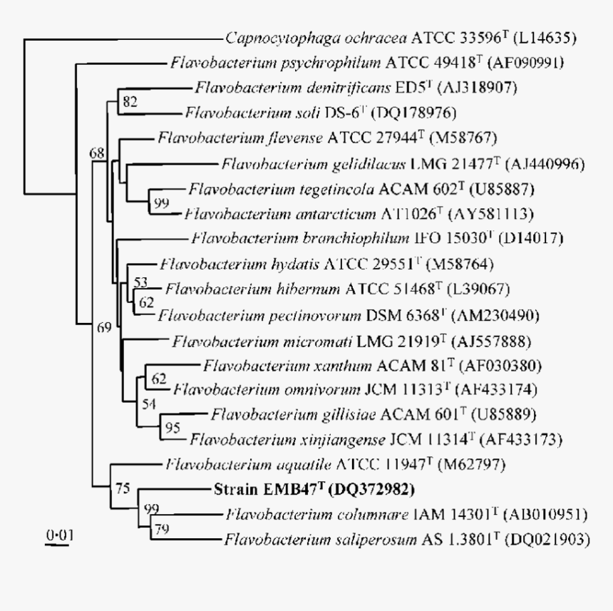 Document, HD Png Download