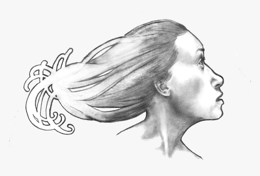 Steph Guidera Artist - Sketch, HD Png Download