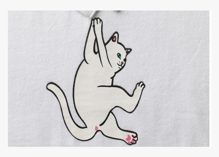 Cat Yawns, HD Png Download