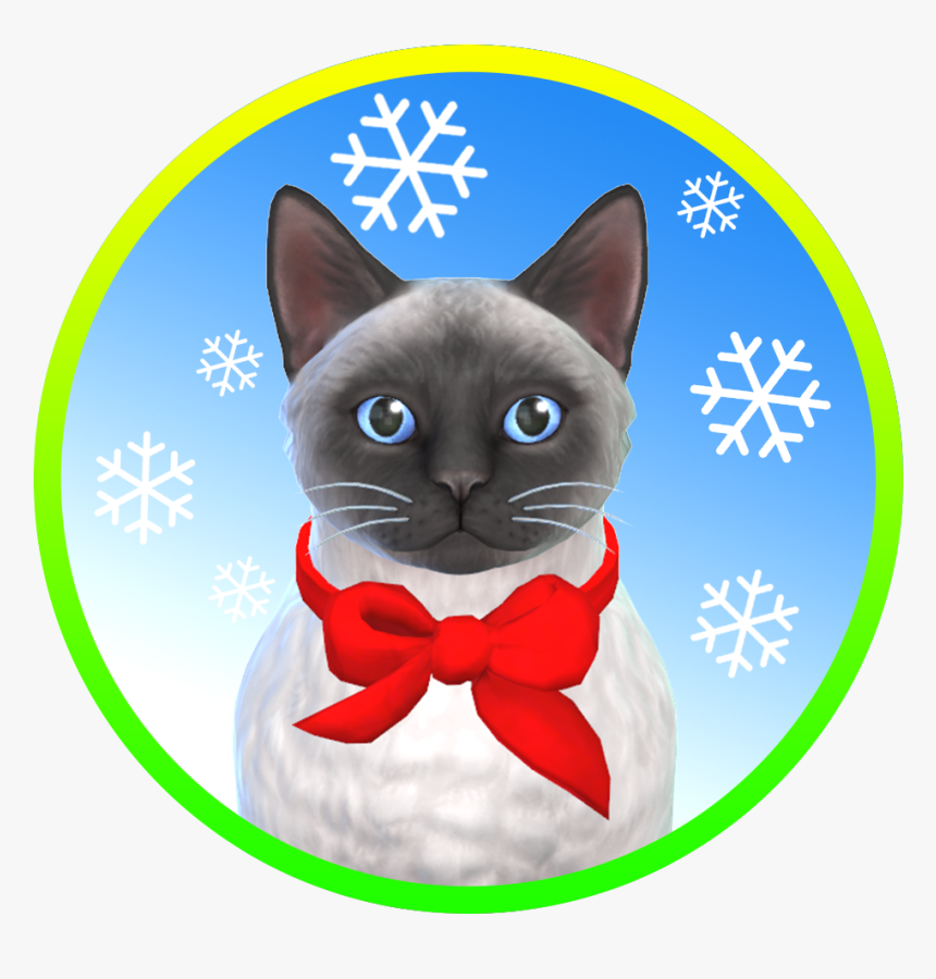 Kitten, HD Png Download