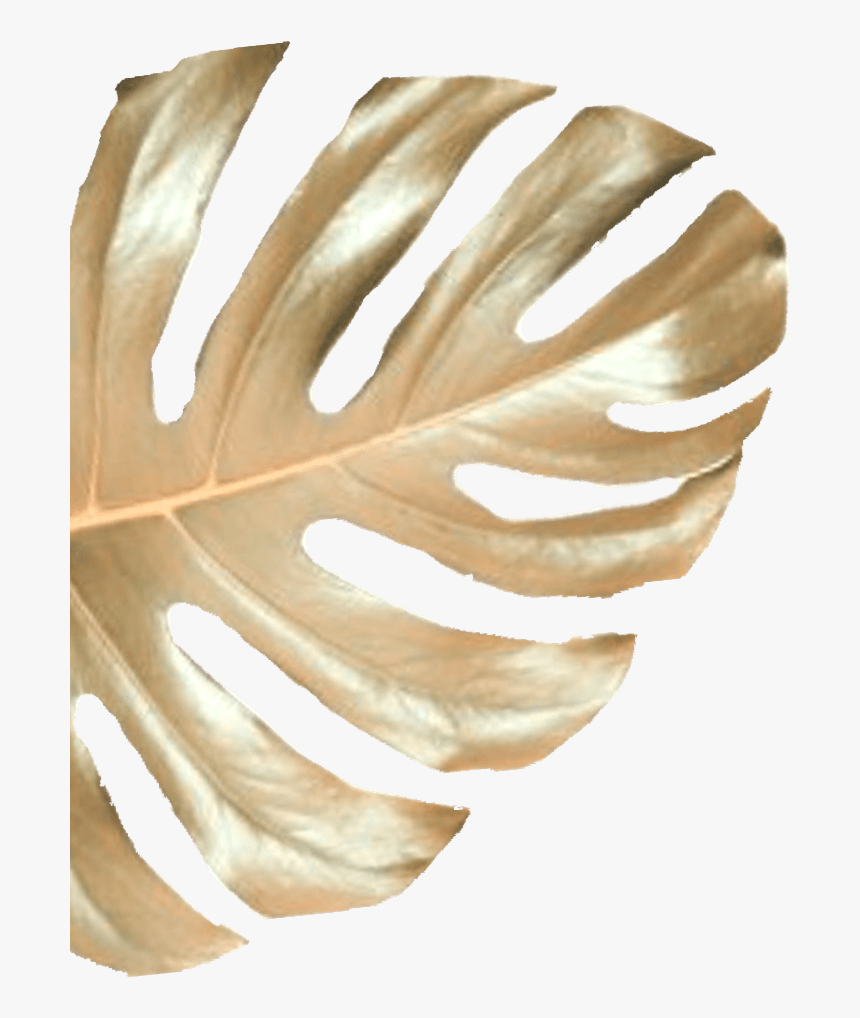 Wood, HD Png Download