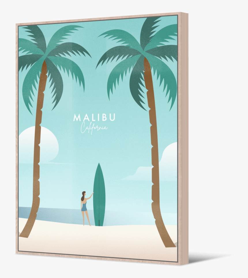 Attalea Speciosa, HD Png Download