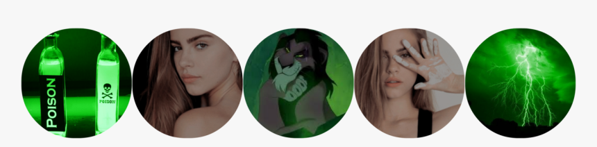 Lion, HD Png Download