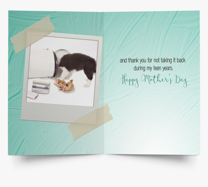 Mole, HD Png Download