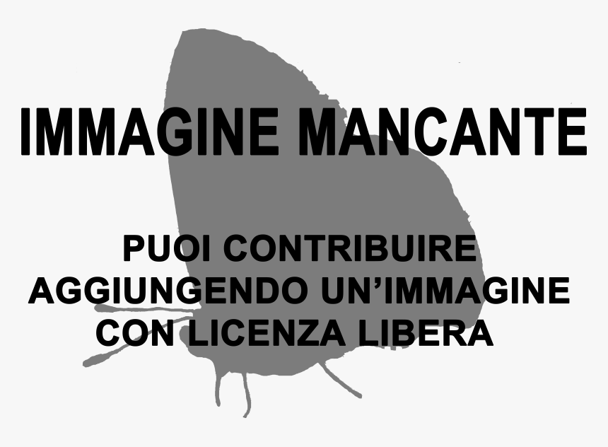 Orando Png, Transparent Png