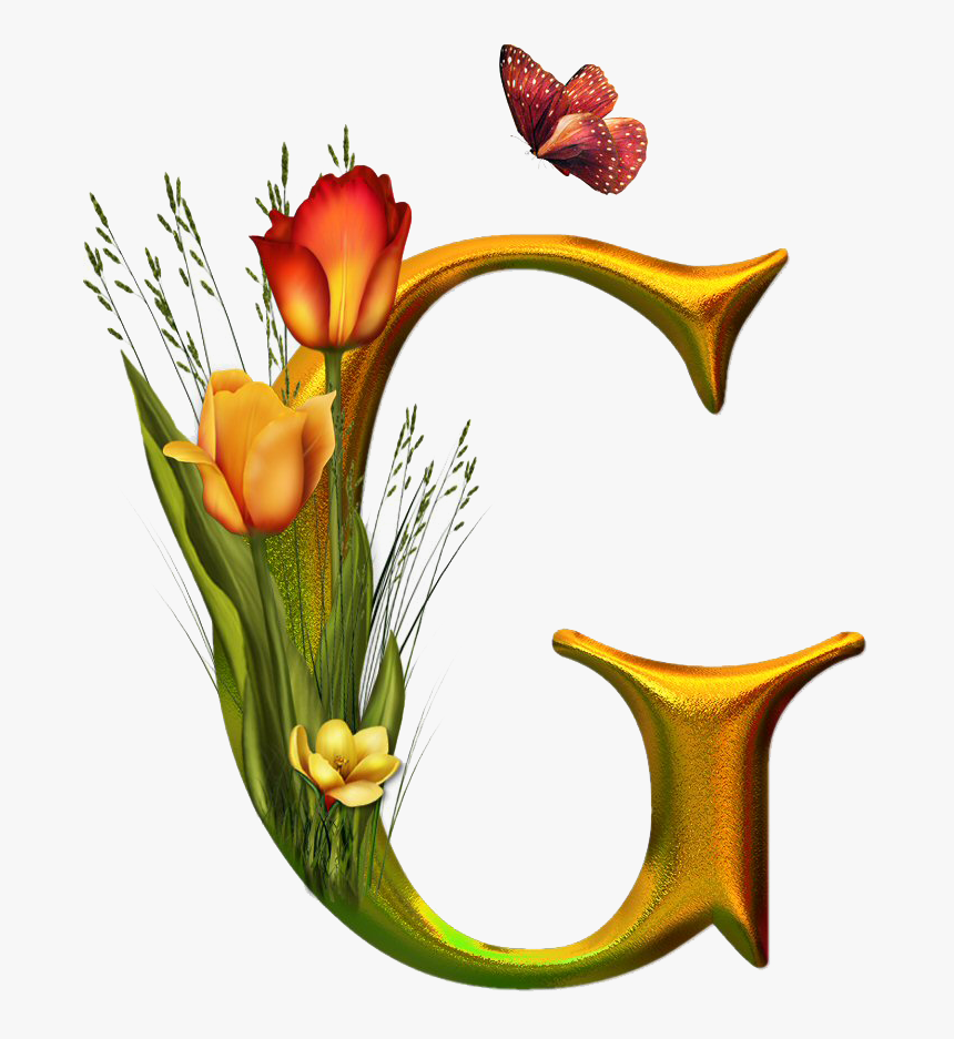 Flower Letter D Transparent Background, HD Png Download