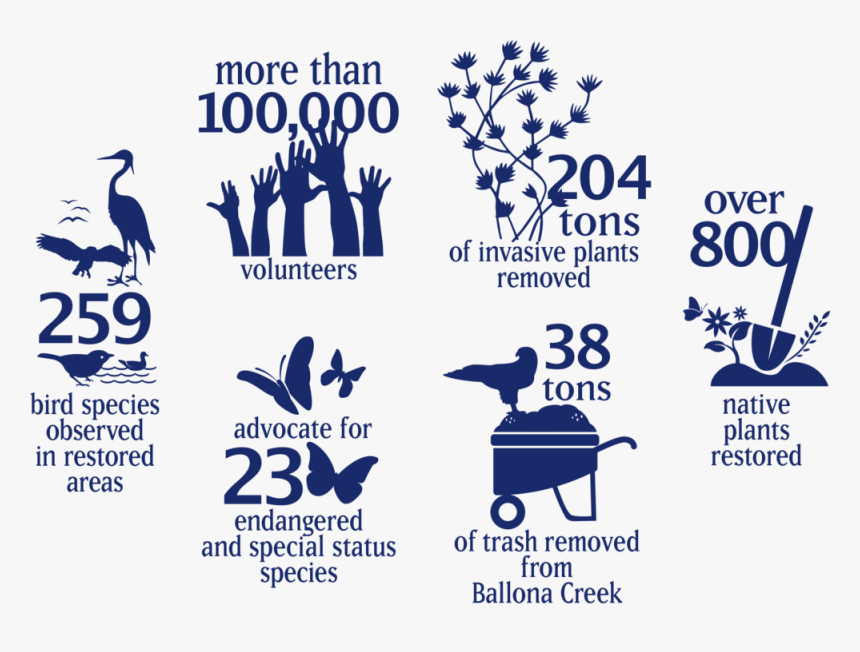 Friend’s Impact On Ballona, By The Numbers, HD Png Download