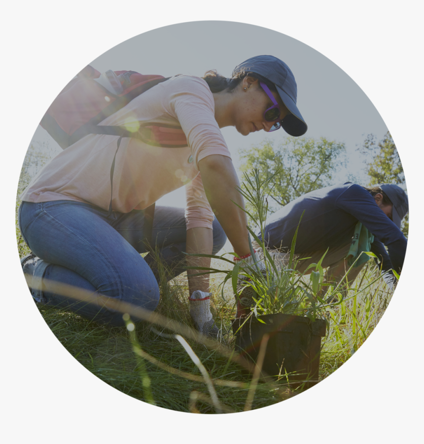 Involve - Volunteer - Grass, HD Png Download