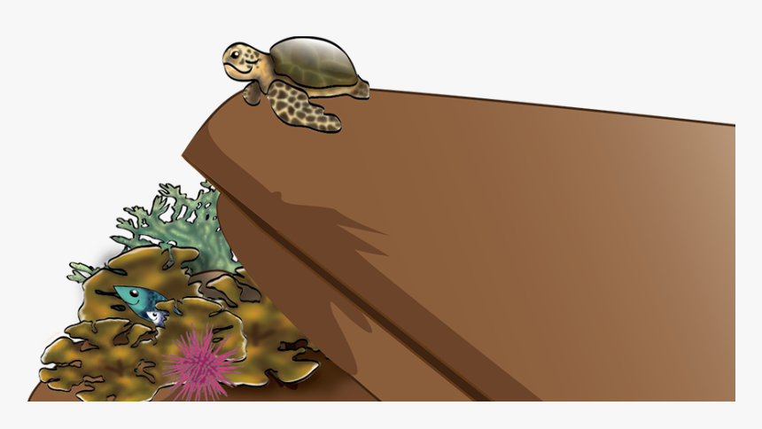 Illustration, HD Png Download