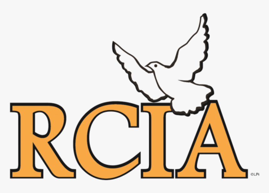 Rite Of Christian Initiation Of Adults, HD Png Download