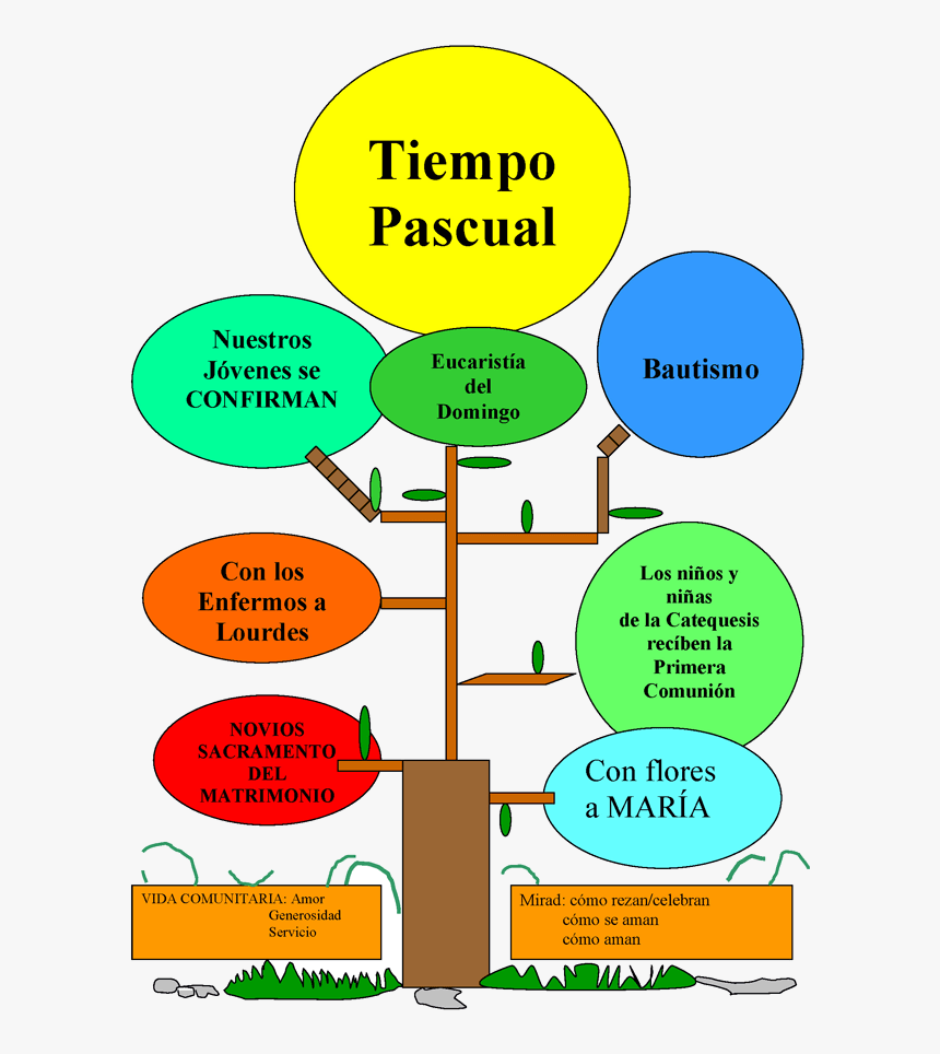 Cruz Roja, HD Png Download