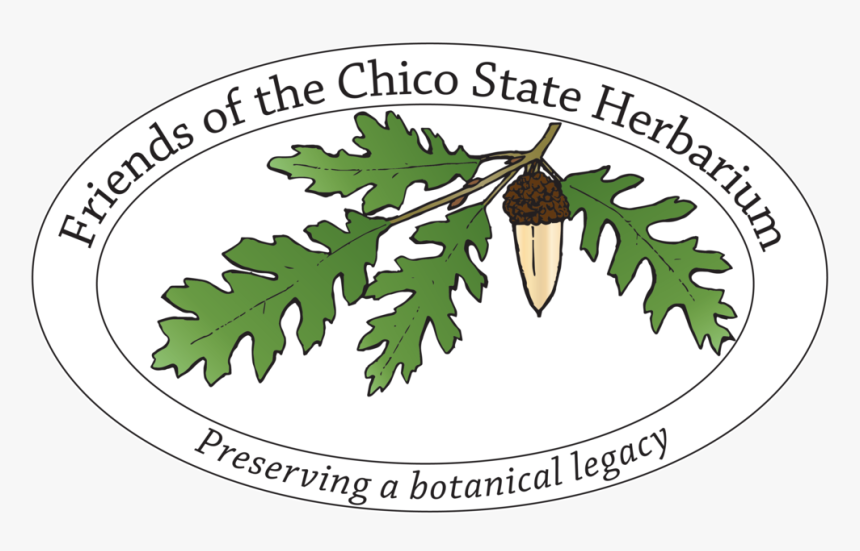 Plants Are Friends Png, Transparent Png