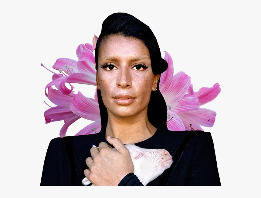 Sevdaliza Darkest Hour Album, HD Png Download