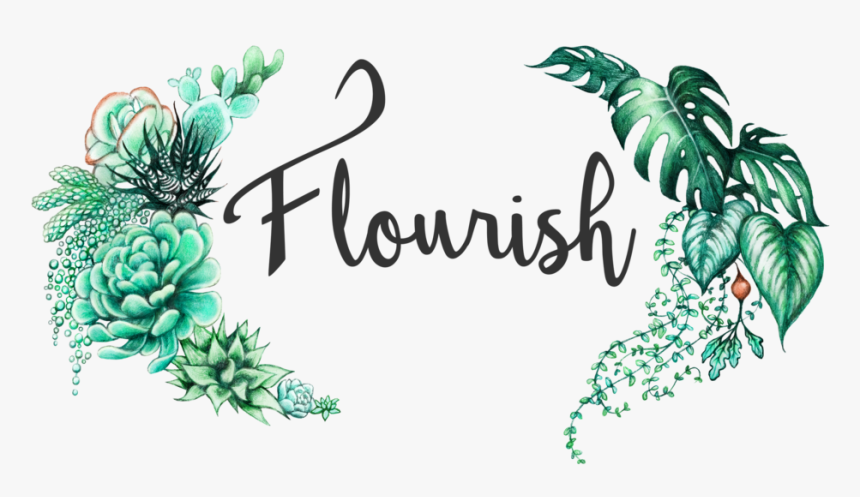 Logocolor150dpi, HD Png Download