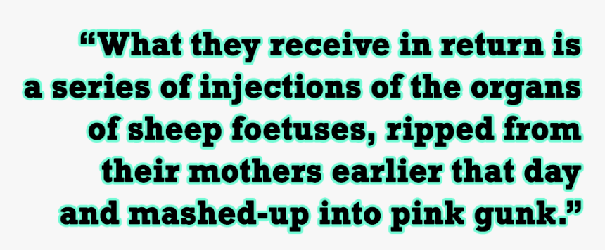 Pentair, HD Png Download