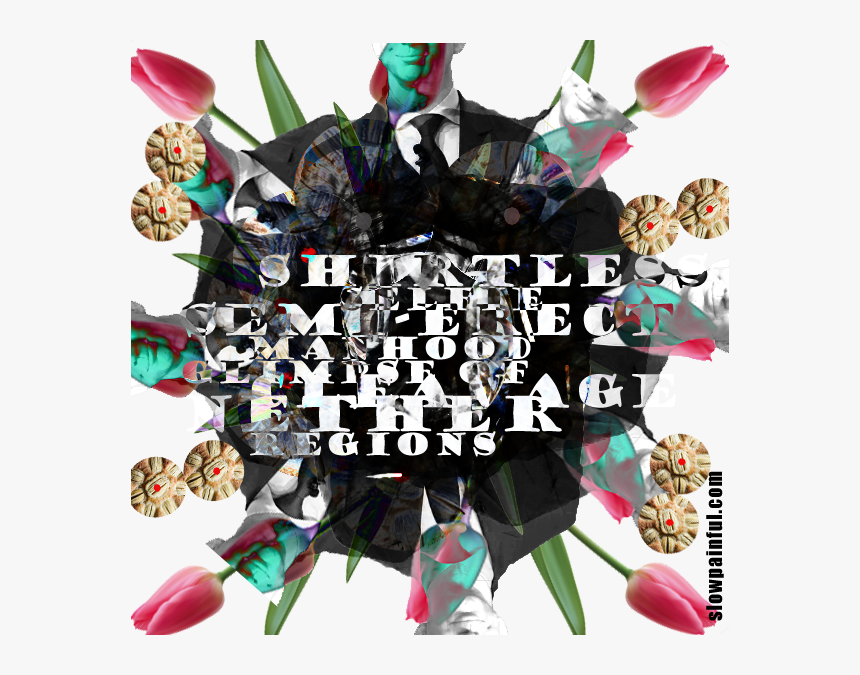 Rose, HD Png Download