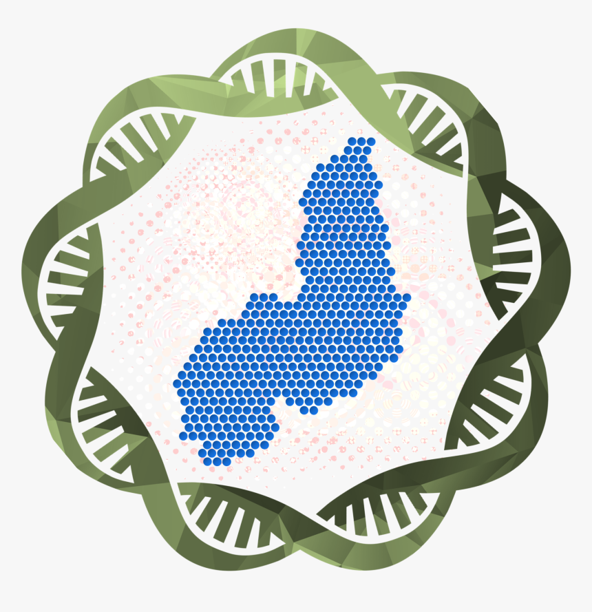 Oncopiaui 2019, HD Png Download